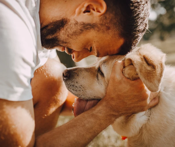 hrană câine cea mai bună hrană pentru câine ghid hrană câine începători PetMart.ro hrană câini hrană uscată câini hrană umedă pentru câini dietă veterinară câini recompense dresaj câin
